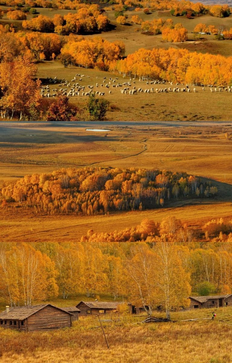 连续4年乌兰布统赏秋!真的建议今年去一趟_2_走吖旅游_乌兰布统-草原-来自52tours 我爱旅游网